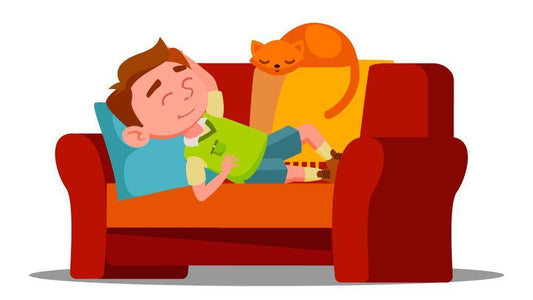 5 Things to Ask Before Hiring a Pet Sitter - Whisker Hut