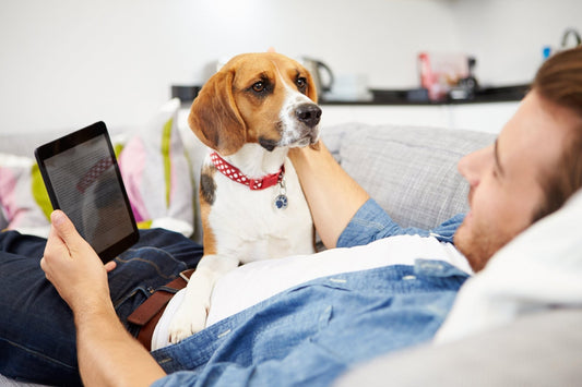 How Anxiety and Depression Can Affect Pets Too - Whisker Hut