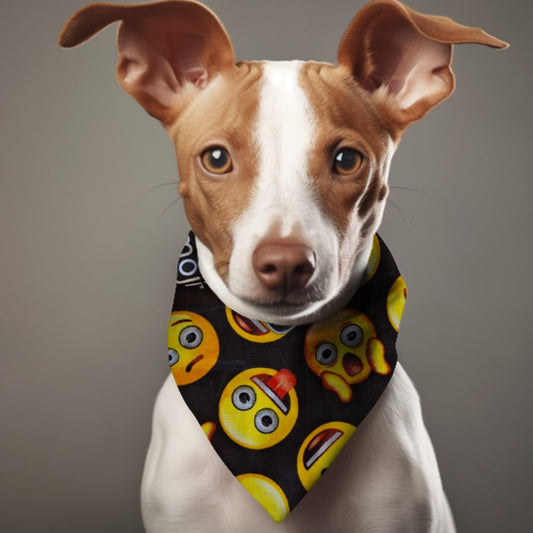 2 - Sided Pet Bandana - Whisker Hut