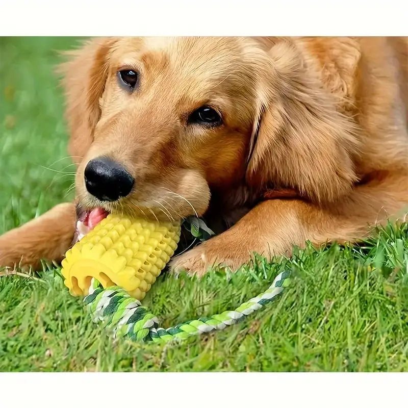 Corn - On - The - Cobb Chew Toy - Whisker Hut