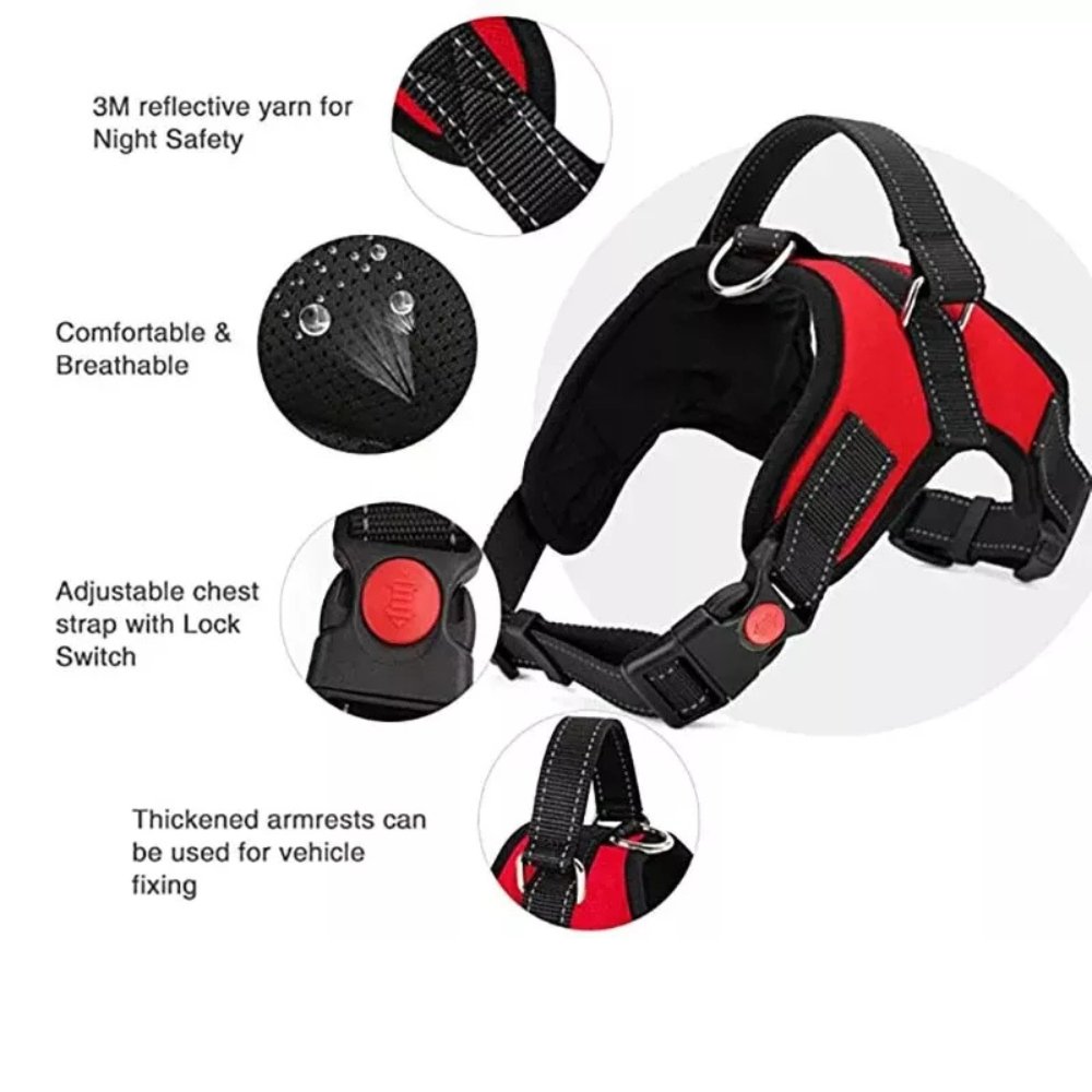 Durable No - Pull Harness - Whisker Hut