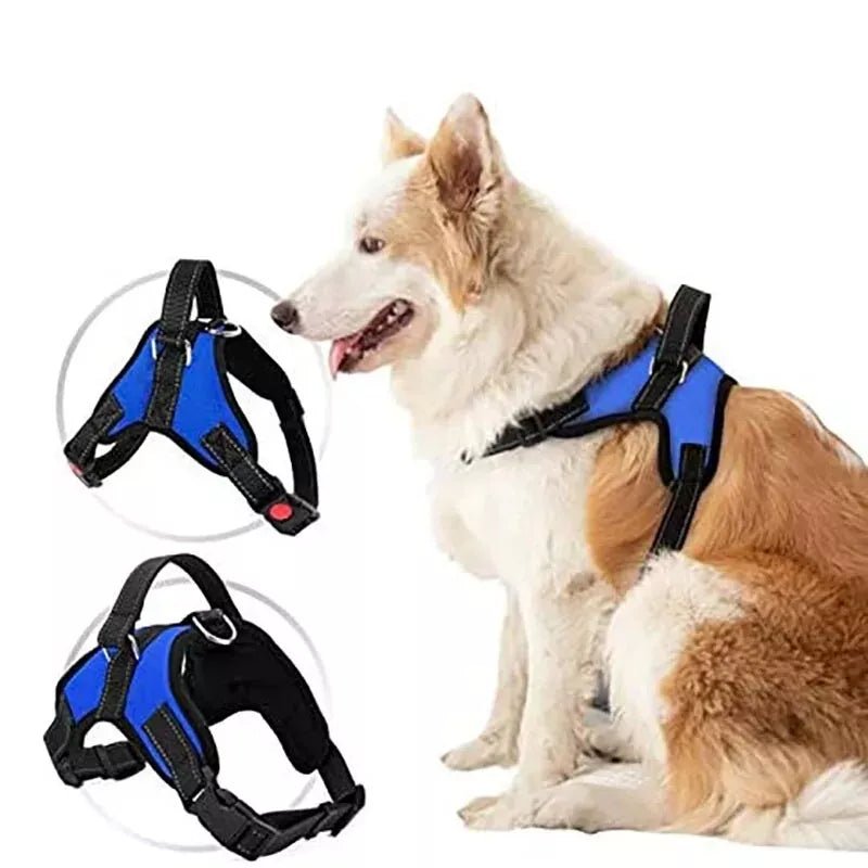 Durable No - Pull Harness - Whisker Hut