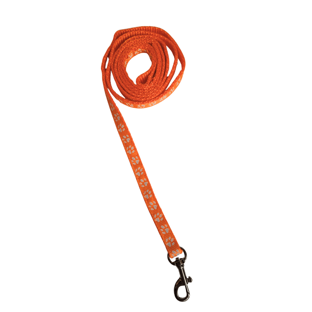 Lightweight Sturdy Paw Print Leash - Whisker Hut