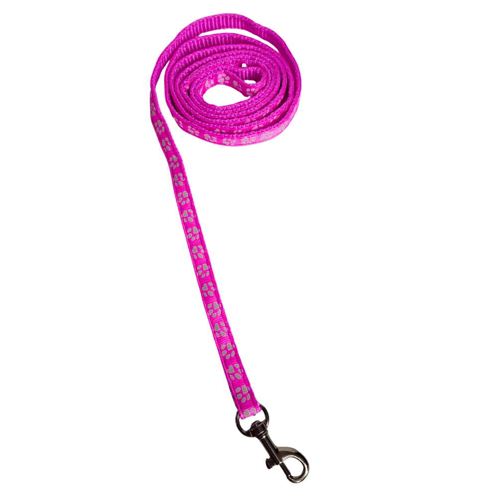 Lightweight Sturdy Paw Print Leash - Whisker Hut