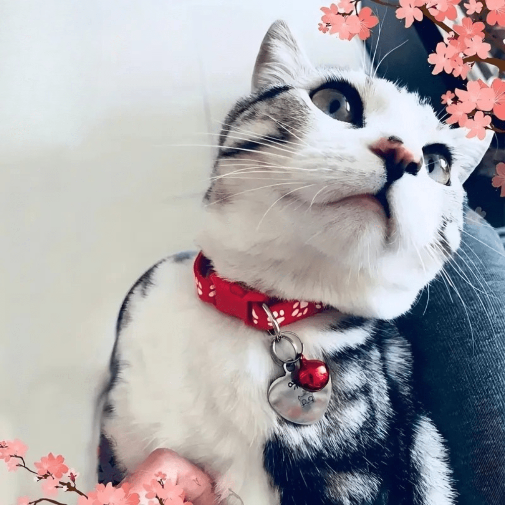 Paw Print Cat Collar - Whisker Hut