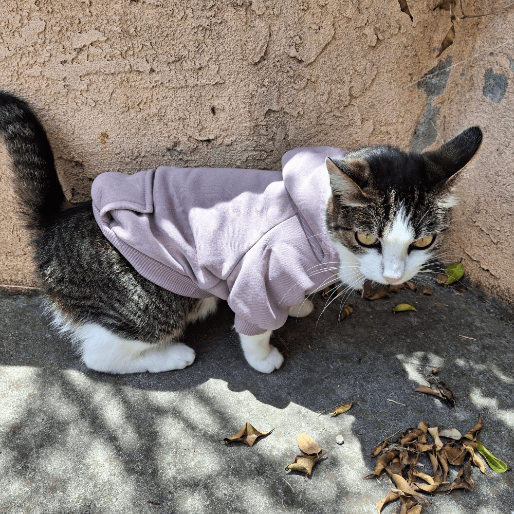 Pet Hoodies - Whisker Hut