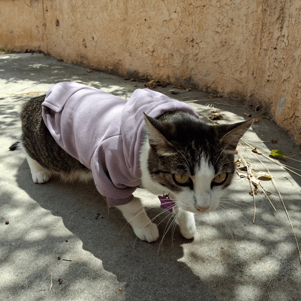 Pet Hoodies - Whisker Hut