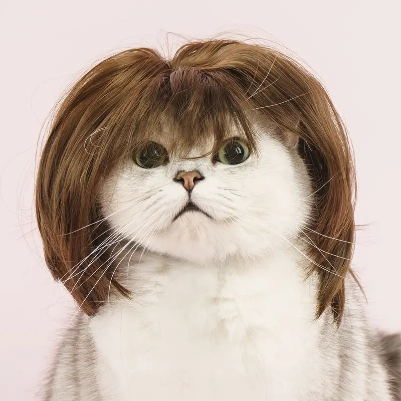 Pet Pawty Wig - Whisker Hut