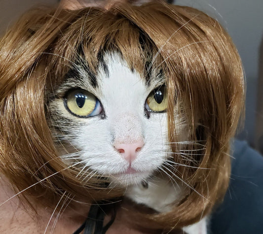 Pet Pawty Wig - Whisker Hut