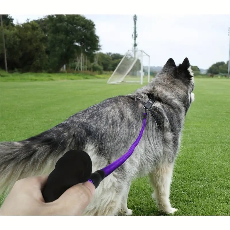 Reflective Rope Leash - Whisker Hut