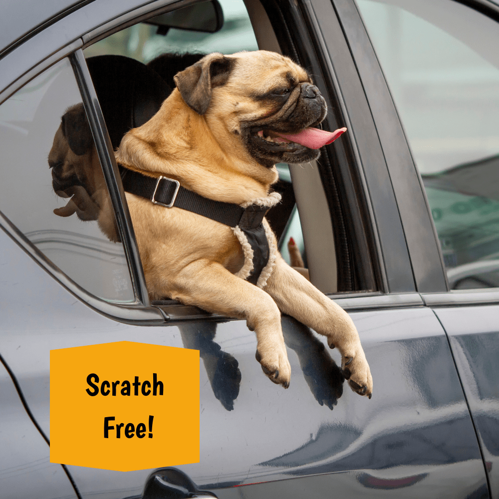 Vehicle Door Protector Gray 19" x 27" - Whisker Hut