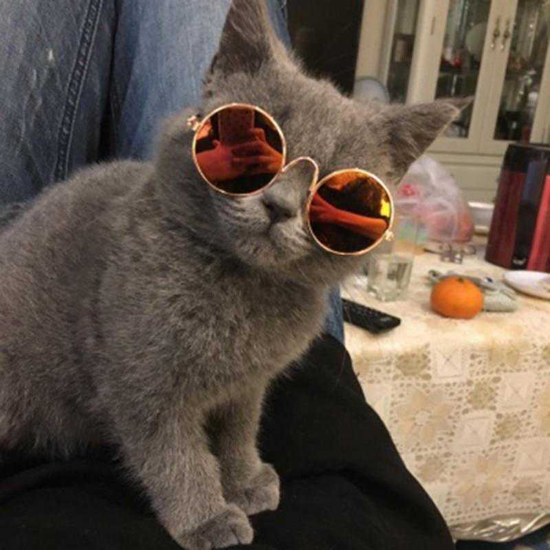 Round Retro UV Pet Sunglasses - Whisker Hut