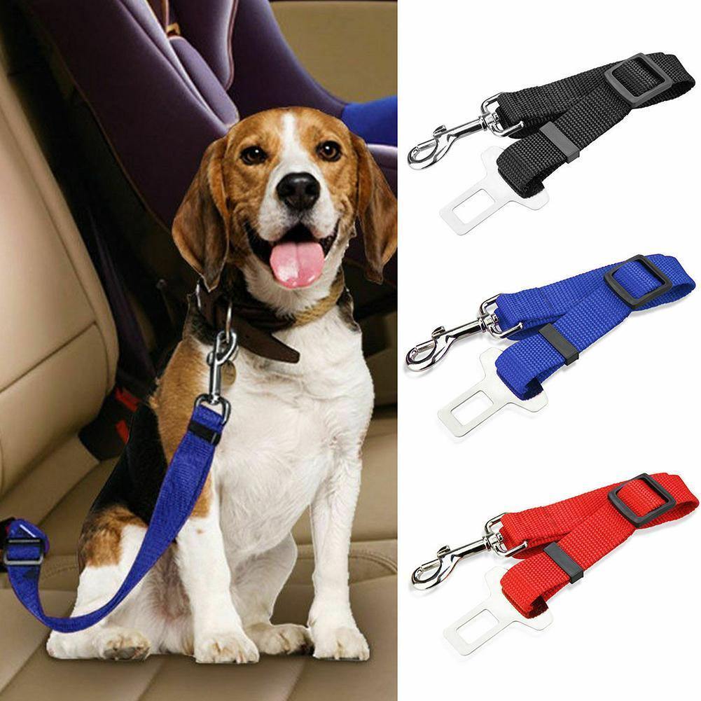 Safety Seatbelt for Dogs - Whisker Hut