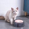 Gray and white cat stands in front of gray and pink no-spill water bowl