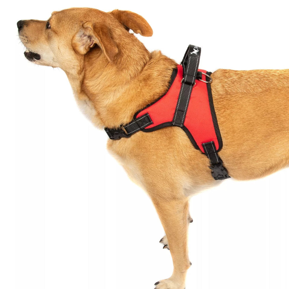 Durable No - Pull Harness - Whisker Hut