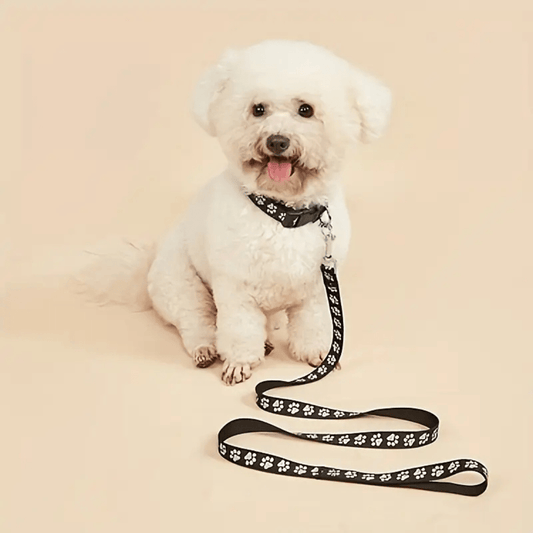 Lightweight Paw Print Leash - Whisker Hut