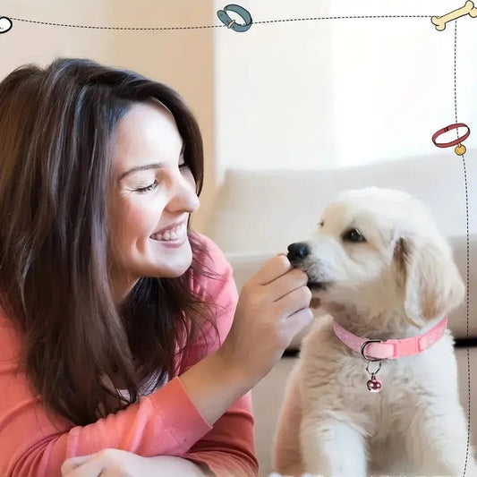 Paw Print Cat Collar - Whisker Hut