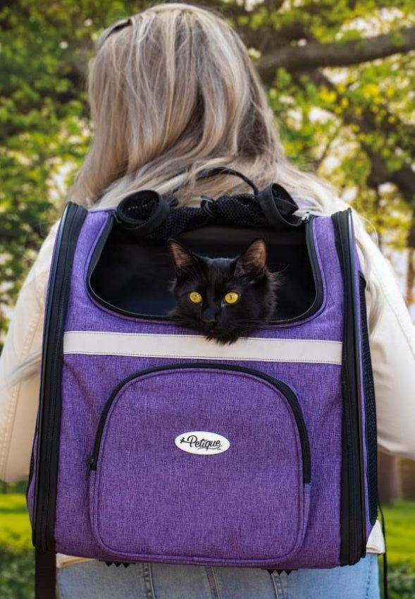 Backpacker Pet Carrier Orchid - Whisker Hut