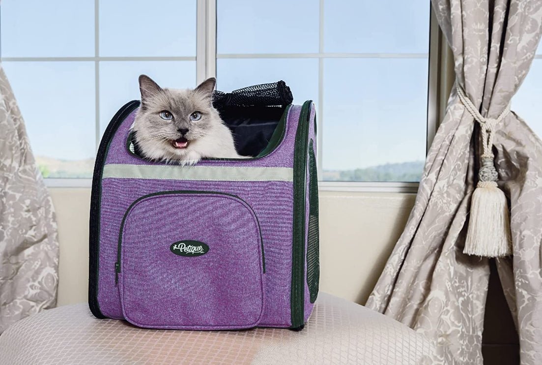 Backpacker Pet Carrier Orchid - Whisker Hut