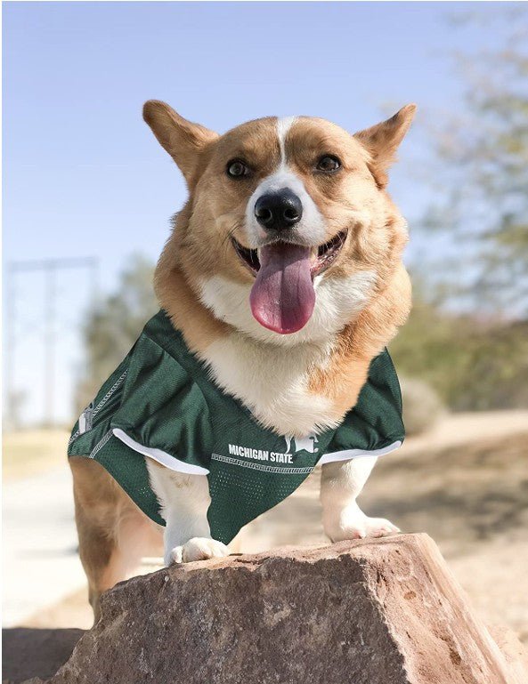 Pets First Michigan State Mesh Jersey for Dogs - Whisker Hut