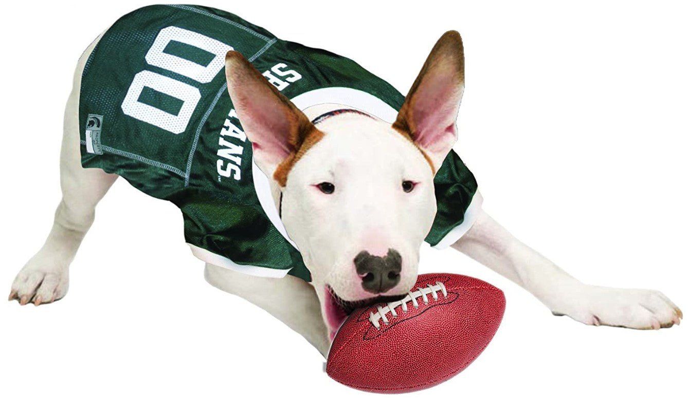 Pets First Michigan State Mesh Jersey for Dogs - Whisker Hut