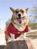Pets First USC Mesh Jersey for Dogs - Whisker Hut